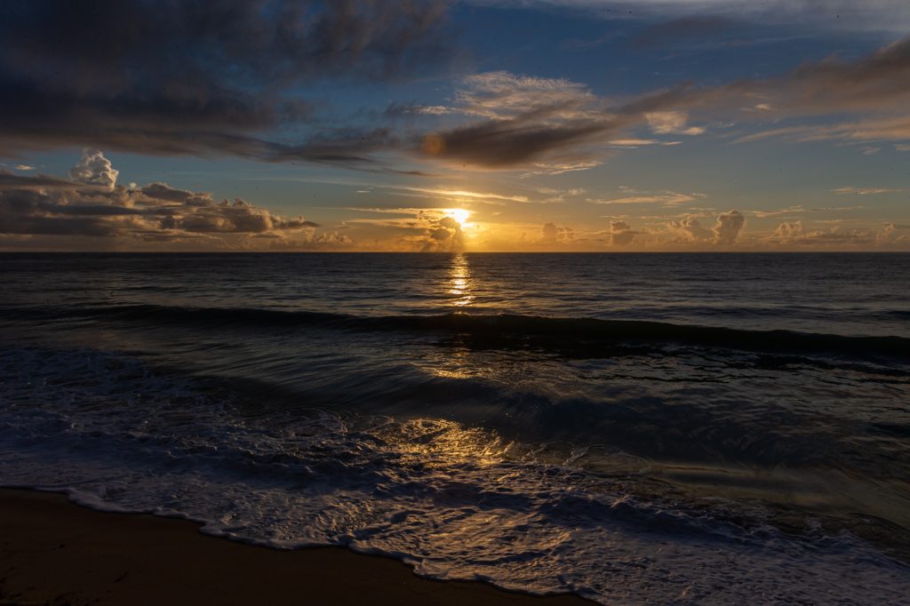 002 - © Bruno Pinheiro - 5177