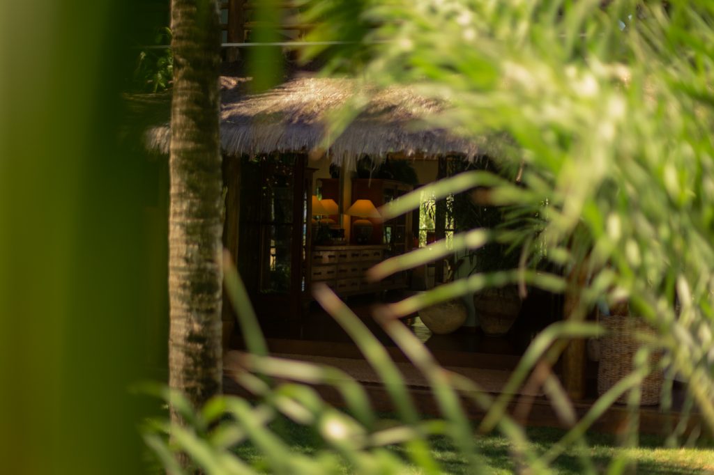 017 - © Bruno Pinheiro - 5445