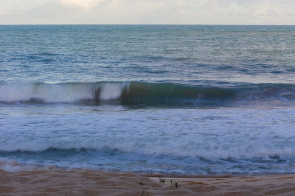 © Bruno Pinheiro