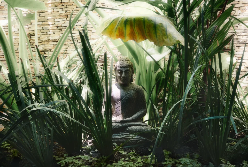 budda-base-2-min